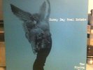 Sunny Day Real Estate 