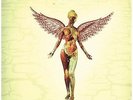 Nirvana: In Utero ( 20th Anniversary ) - 3 LP Gatefold