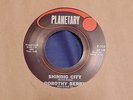 Rare Northern Soul 45 Record - Dorothy Berry - Shindig City - Planetary