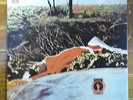 SPRING   No akarma 3 side cover, Free shipping to your country