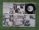 Negazione - Tutti pazzi  7