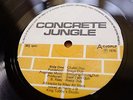 ??????? CONCRETE JUNGLE UK DUB LP RILEY ALL STARS KING TUBBY'S REGGAE 1976