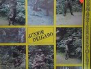 LP / JUNIOR DELGADO / BUSHMASTER REVOLUTION