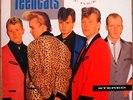 TEENCATS - TEDDY BOY ROCK'N' ROLL - RARE  ROCKABILLY TEDDYBOY REVIVAL LP