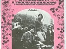US Garage Psych: THE SEEDS - A THOUSAND SHADOWS 7” Dutch issue