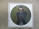 Elvis Costello My Aim Is True This Years Model LP Sampler Record Picture Disc