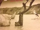 Tonton Macoute Very Rare 1971 UK RCA Neon LP