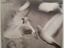 Donald Byrd/Free Form/Blue Note/BST84118/VG++/DMM