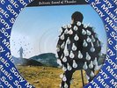 Pink Floyd Delicate Sound of Thunder LP Picture Disc PROMO 1987 Brazil Only