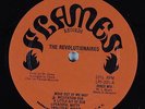 REVOLUTIONARIES Meditation In Dub FLAMES LP