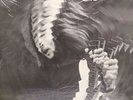 Groundhogs Split Sealed Original English Pressing LP