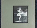 LAUGHING HANDS-DOG PHOTOS,ADHESIVE,W/PHOTO INNER SLEEVE,PUNK,NEAR MINT LP