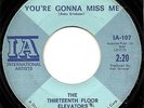 THE THIRTEENTH FLOOR ELEVATORS CLASSIC FUZZ GARAGE ON IA RECORDS YOU'RE GONNA