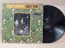 THE LEAVES LP HEY JOE **ORIGINAL MIRA STEREO** NEAR MINT- 1966 CLEAN