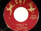 HEAR Sh-Booms (Chords) 45 Could it Be/Pretty Wild CAT 117 doo wop R&B RARE VG+