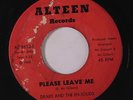 rare Northern Soul 45 DRAKE & EN-SOLIDS please leave me ALTEEN Hear
