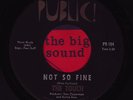 TOUCH   1968 Garage band psych 45 on PUBLIC (The HUNGER). Mp3