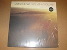 Saves The Day - Stay What You Are Orange Swirl Vinyl LP. Very Rare & Limited OOP