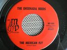 RARE LATIN MOD TITTY SHAKER 45 rpm THE ENSENADA REEDS on prvt lb M&P SUMMERTIME