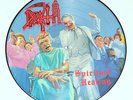 DEATH -Spiritual Healing PIC-LP 1990 , ORIG. FLAG 38  ... immolation obituary