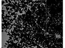 Masato Minami - Tropics [Vinyl New]