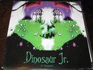 Dinosaur Jr - In Session LP BBC Live j mascis sebadoh