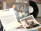 ALICE IN CHAINS WE DIE YOUNG 12''INCH,RECORD WITH PHOTO AND BIO