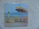 NEIL  YOUNG  ON  THE  BEACH       1 LP