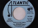JOHNSON FAMILY: Peace In The Family / Mono 45 (dj) rare Soul