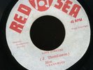 013 BIM SHIEMAN & DYNAMICS-LOVE FOREVER-RED SEA-1974  REGGAE 45 7