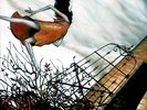 Circa Survive JUTURNA Vinyl Record LP ORANGE Brand New SEALED /1000