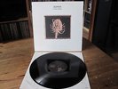 sophia-fixed water-  vinyl god machine