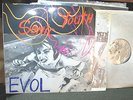 Sonic Youth EVOL 1st press SST 059 1986 LP orig rare vinyl kim gordon thurston m