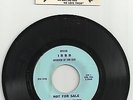 RARE-TOM CLAY I.B.B.B.-THE BEATLES INTERVIEW-PROMO-45-WITH RARE MEMBER CARD