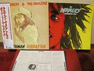 BOB MARLEY - RASTAMAN VIBRATION / JAPAN LP with BOOKLET  EX cond.