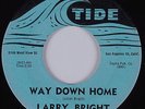 Mod R&B Fuzz Rocker 45 LARRY BRIGHT Way Down Home TIDE HEAR