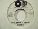 Soul 45 Collector--MARVIN GAYE-LITTLE DARLING I NEED YOU-TAMLA W/DEMOHear