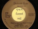 JIMMY SCOTT - I Want To Feel Your Warm Embrace - DETROIT GOLD  7
