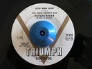 SOUL R&B   LITTLE MARIE ALLEN   HUMDINGER   TRIUMPH WLP   VG+