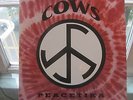 ?  COWS 