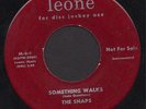 THE SNAPS Rare OBSCURE ROCK/RAB/INSTRUMENTAL 45 Leone LISTEN