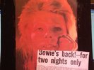 David Bowie Dollars In Drag Rare The 1980 Floor Show. Lp Vinyl Record Bowie Back
