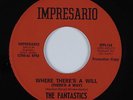 Northern Soul 45 FANTASTICS Where There's A Will (There's A Way) HEAR NM/VG++
