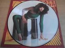 KATE BUSH   THE KICK INSIDE ** 1978 UK 1st EMI PICTURE DISC LP