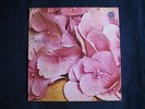 STILL LIFE same Orig. GERMAN '71 VERTIGO SWIRL BEN DRZ CATAPILLA CRESSIDA PATTO