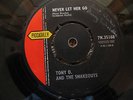 TONY D. AND THE SHAKEOUTS-IS IT TRUE