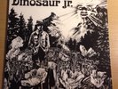 Dinosaur Jr s/t LP Meat Puppets Deep Wound Sebadoh Magic Dirt
