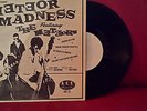 The Meteors    Meteor Madness 10