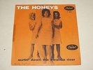 HONEYS SURFIN DOWN THE SWANEE RIVER RARE DANISH PS 45 SINGLE LISTEN
