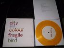 CITY AND COLOUR Fragile Bird 7